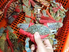 -巽寮印象美食部落餐厅·海鲜·地方特色菜(惠州体验店)