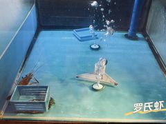 -长沙北辰洲际酒店-兰调全日餐厅