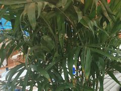-三江源活鱼现烤(维多利摩尔城店)