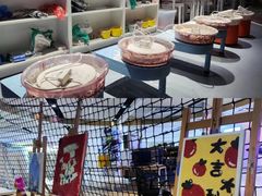 -VS SPORTS PARK运动玩乐园·团建·生日会(合生汇店)