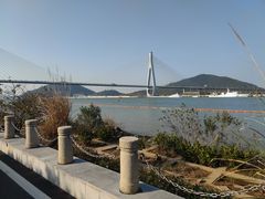 -芒洲湿地公园
