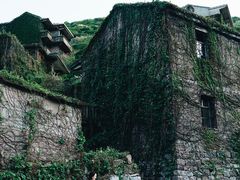 -枸杞岛