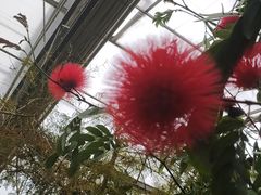 -南通洲际绿博园