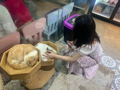 -more than meow吴止猫主题餐厅(承德 中船汇店)