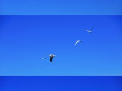 -丽江泸沽湖景区