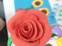 -爱月宝月嫂·育儿嫂(哈尔滨总店)