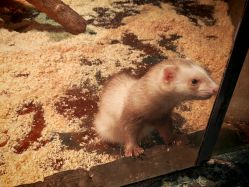 -Zoolung Zoolung动物主题公园(海信广场店)