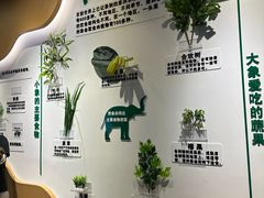 -野象谷景区