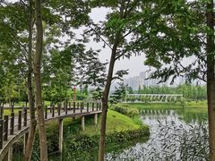 -眉山湿地公园(东坡区)