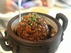 红烧极品狮子头-扬州狮子楼·非遗淮扬菜(总店)
