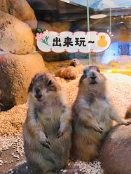 -Mr·Kuma酷么先生雪之乐园