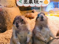 -Mr·Kuma酷么先生雪之乐园