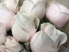 -那些花儿鲜花店(小寨店)