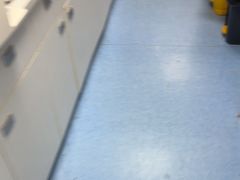 -博特宠物医院24h犬猫全科.骨科·异宠