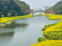 -乐山大佛风景名胜区乌尤寺南门-售票点