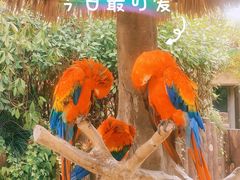 -上海野生动物园