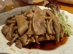 -金燕岛潮州酒楼