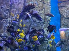 -成都浩海立方海洋公园