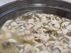 -周渝食惦酸菜鱼(青浦店)
