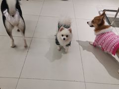 -怪兽屋·羊驼·猫咖·狗咖(俊华广场店)