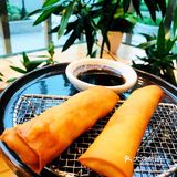 又见提灯
