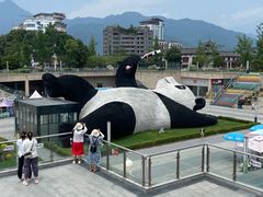 -都江堰中华大熊猫苑
