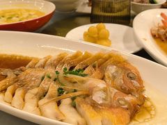 -全聚德(上海首店浦东店)