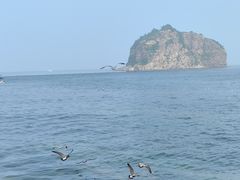 -棒棰岛宾馆景区