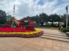 -万绿园