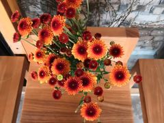 -VOYAGE COFFEE(北锣鼓巷店)