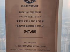 -平安金融中心云际观光层