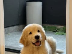 -严国平动物医院(德政总院)