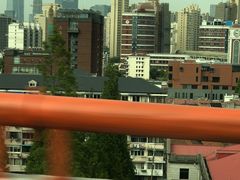 -上海市杨浦区中医医院