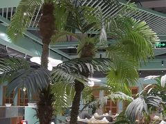 -春润大地海南椰子鸡(沙井京基百纳广场店)
