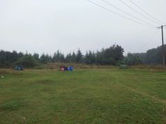 -铁山坪森林公园