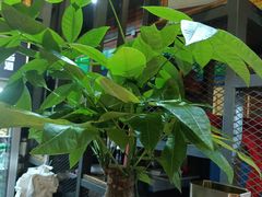 -湘当爱·鲜煮现炒(松岗立业路店)
