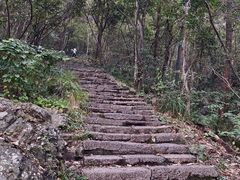 -紫金山山顶公园