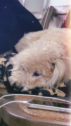 -Hair Co.一间沙龙