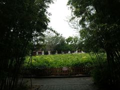 -戚继光故里