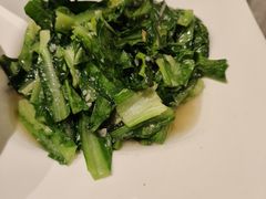 -春茗熙