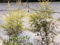 -杭州植物园