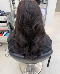 -蚂蚁造型俱乐部