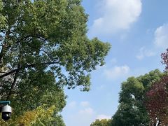 -西溪国家湿地公园