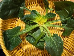 -巴奴毛肚火锅(龙湖锦艺城店)