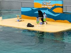 -秦皇岛乐岛海洋王国