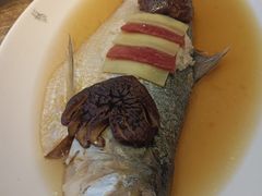 招牌鸡油花雕蒸鲥鱼-苏浙汇(南京西路店)