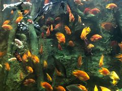 -杭州开元森泊度假乐园