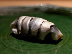 新子鱼寿司-鮨青(恒基名人购物中心店)