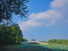 -东湖落雁景区
