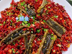 -毛草房(南辛庄街店)